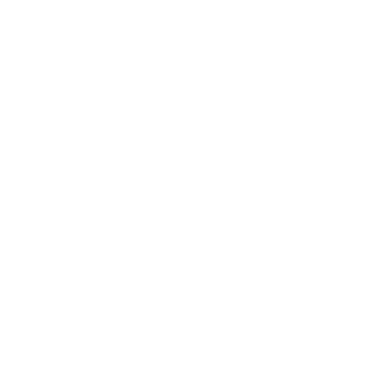 BS Wise Invesment
